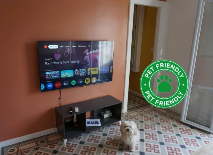 Cosy Appartement 4 Personnes Aux Arceaux - Proche Centre Ville Μονπελιέ Εξωτερικό φωτογραφία